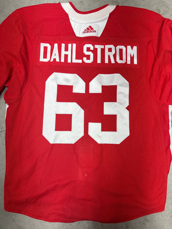 Chicago Blackhawks Practice Jersey Carl Dahlström New